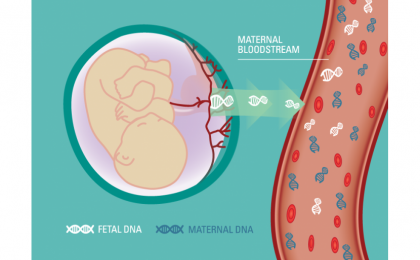 Anne Kanında DNA Testi Nedir?